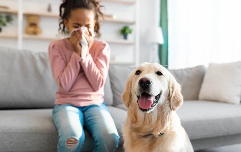 Аллергия на животных: симптомы и лечение